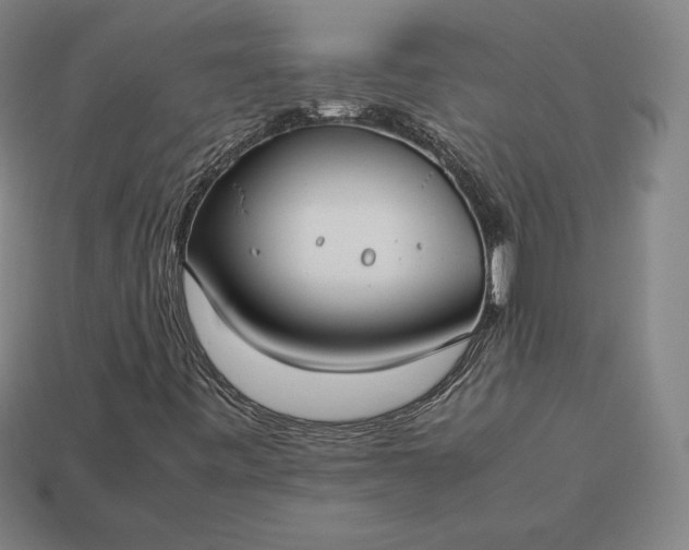 X0000113151443200909181741