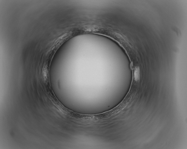 X0000113151444200909181741