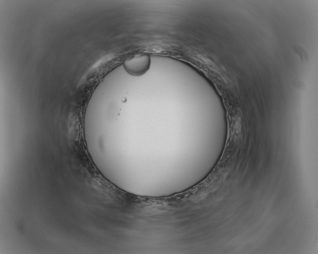 X0000113151446200909181740