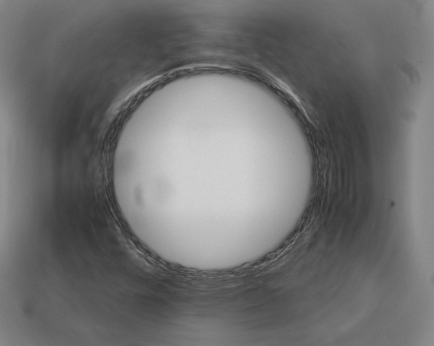 X0000113151448200909181740