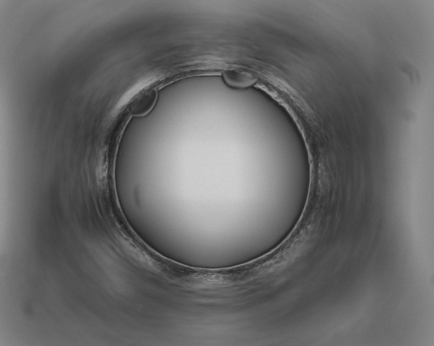 X0000113151450200909181740