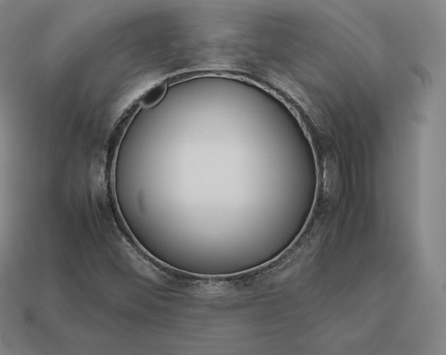 X0000113151452200909181740