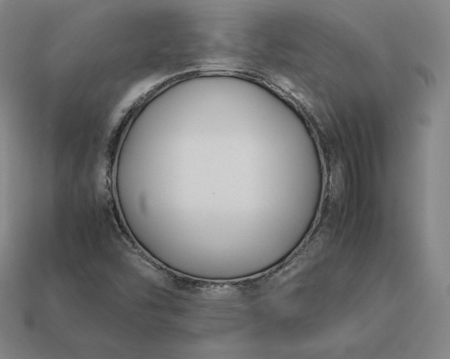 X0000113151454200909181740