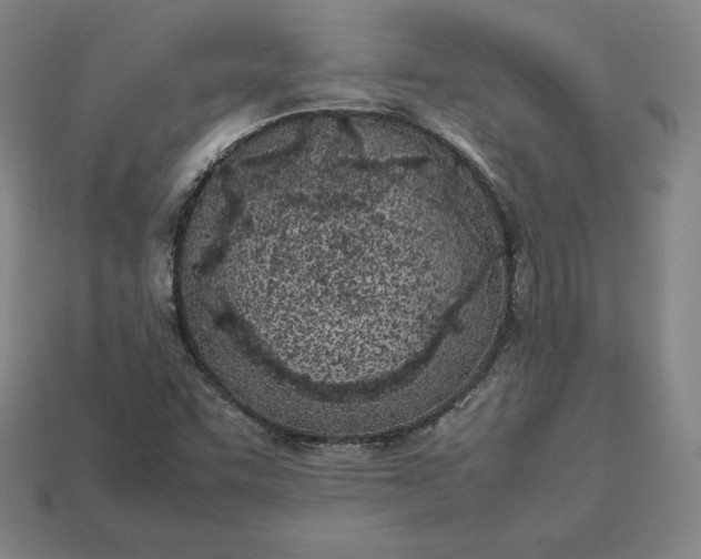 X0000113151455200909181740