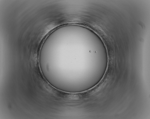 X0000113151457200909181740