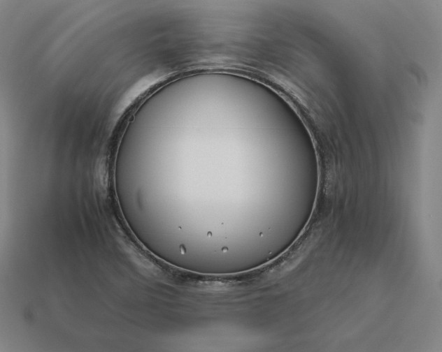 X0000113151458200909181740