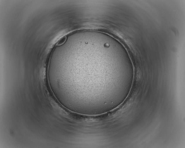 X0000113151459200909181740