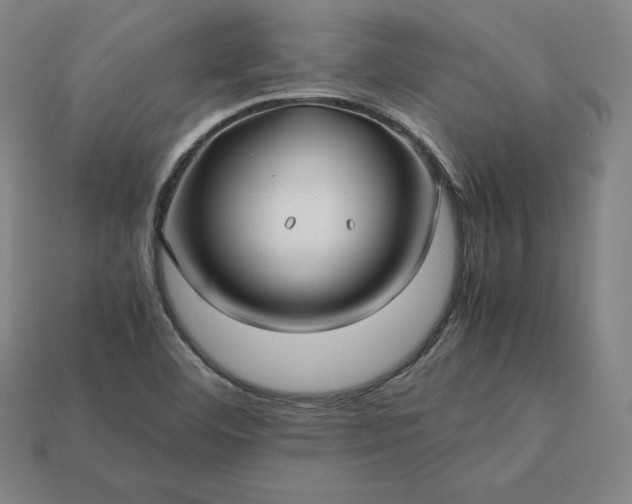 X0000113151460200909181740