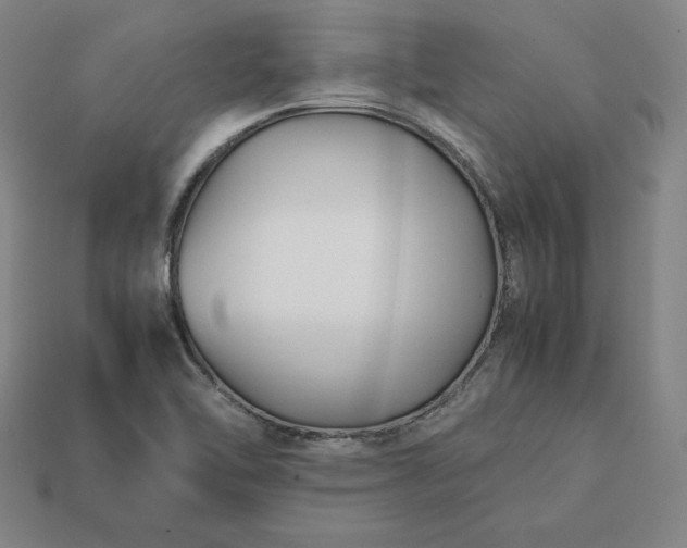 X0000113151462200909181740