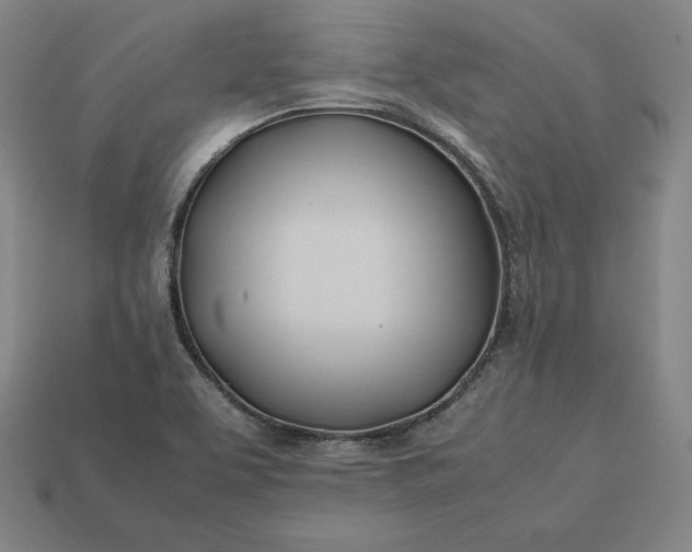 X0000113151463200909181740