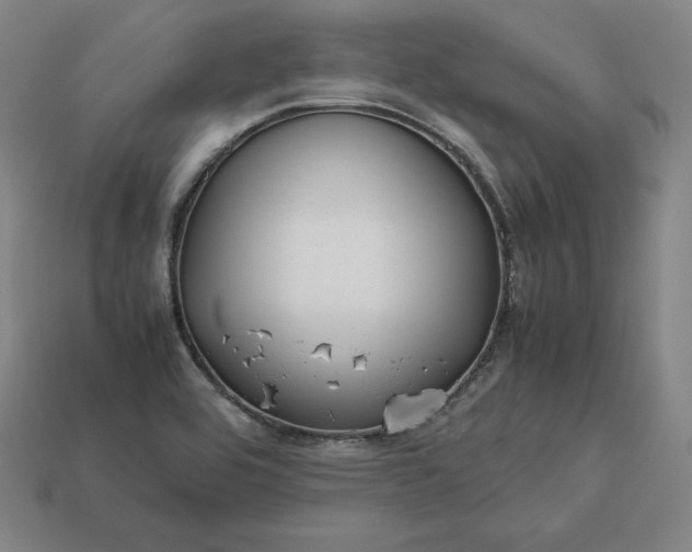 X0000113151464200909181740