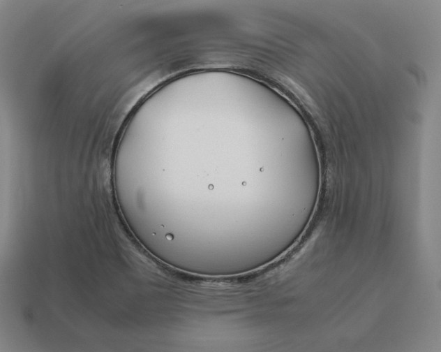 X0000113151465200909181740