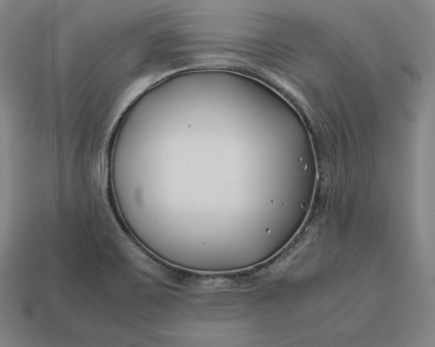 X0000113151467200909181740