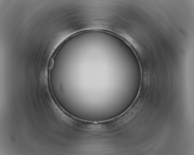 X0000113151468200909181740