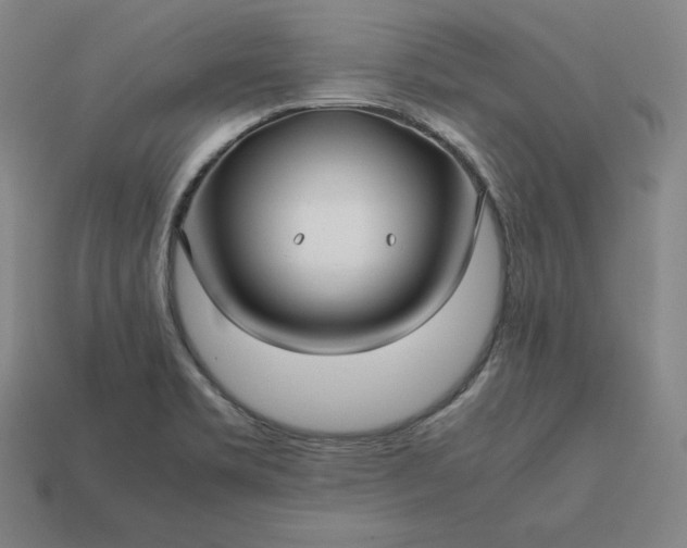 X0000113151469200909181740