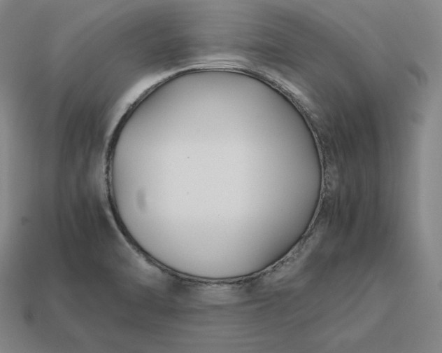 X0000113151470200909181740