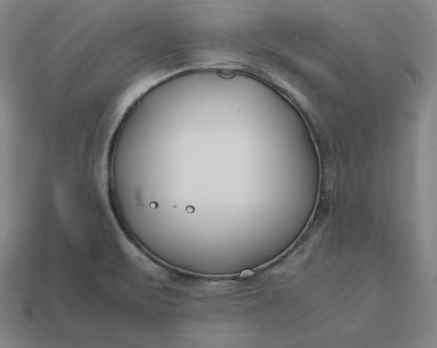 X0000113151471200909181740