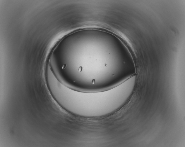 X0000113151472200909181740