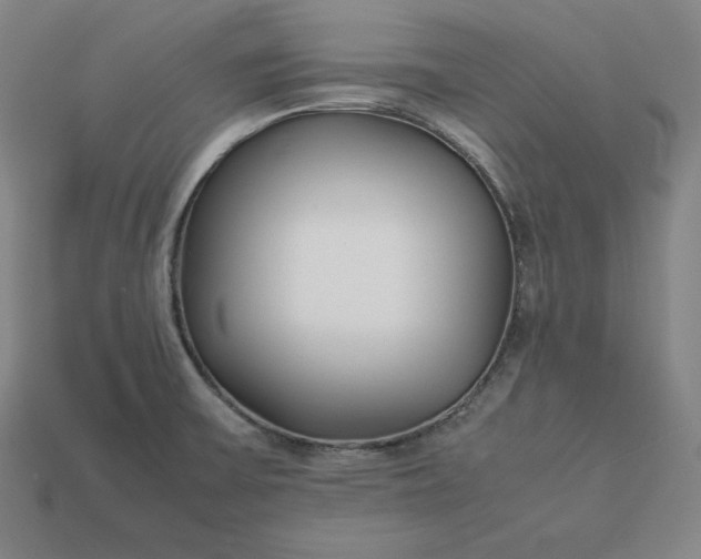 X0000113151475200909181740