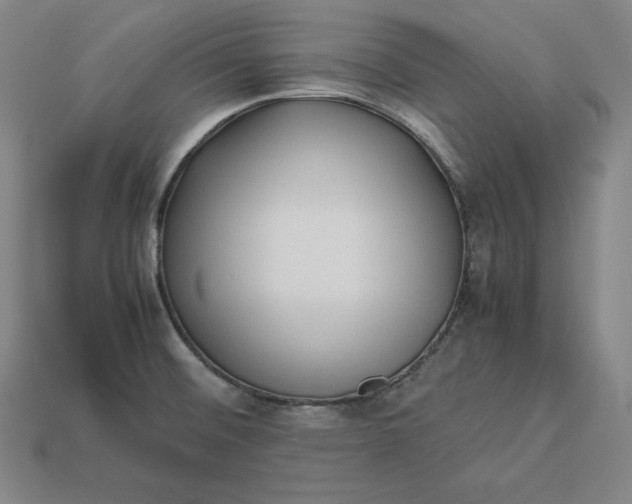 X0000113151476200909181740