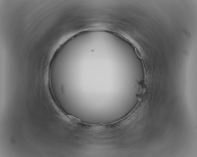 X0000113151477200909181740