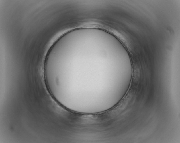 X0000113151478200909181740