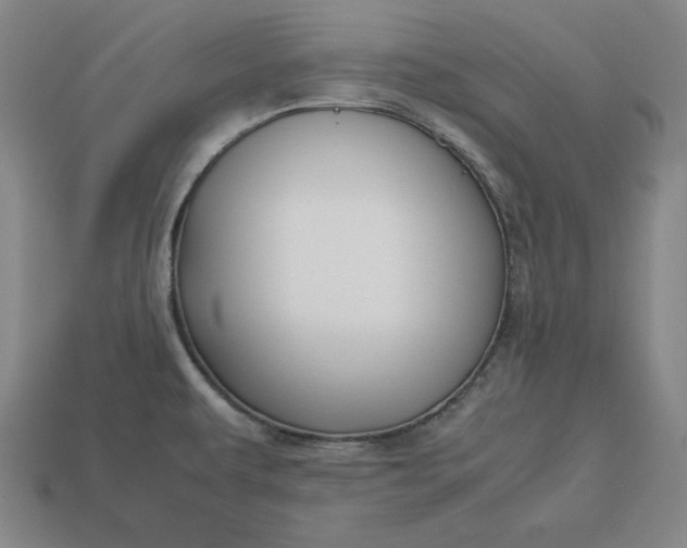 X0000113151479200909181740