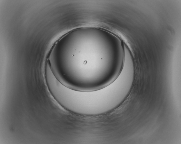 X0000113151480200909181740