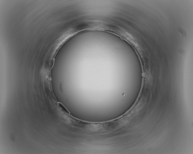 X0000113151481200909181740