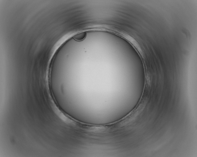 X0000113151482200909181740