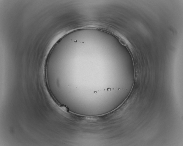 X0000113151483200909181740