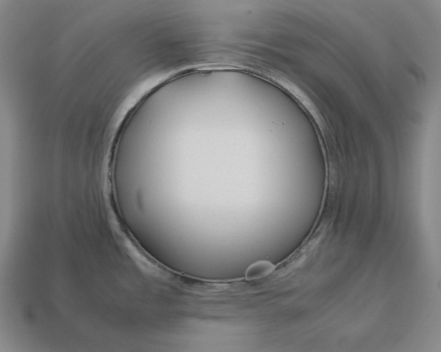 X0000113151485200909181740