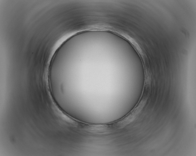 X0000113151486200909181740