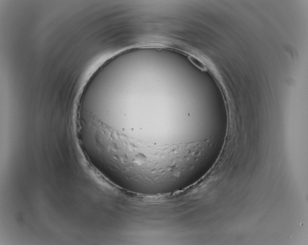 X0000113151488200909181740