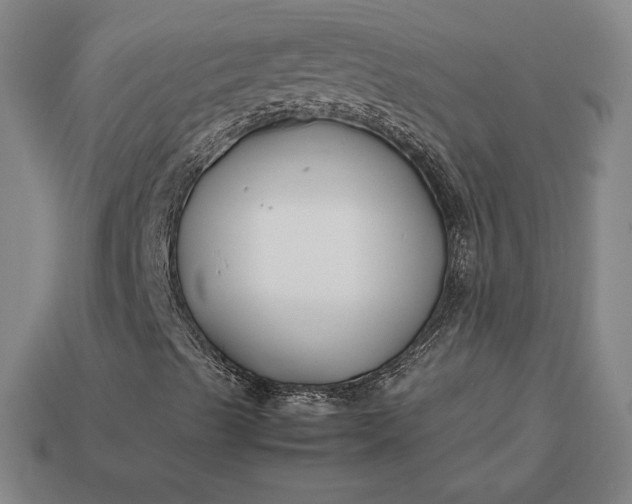 X0000113151489200909181739