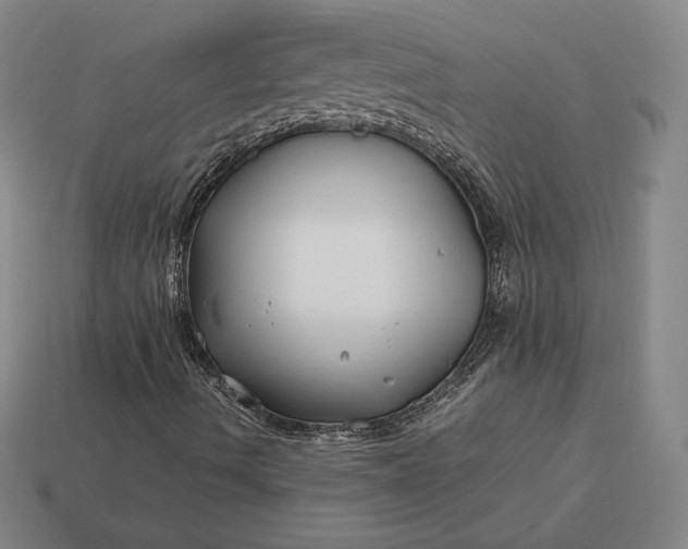 X0000113151490200909181739