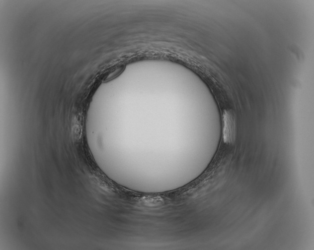 X0000113151491200909181739