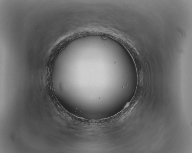 X0000113151494200909181739