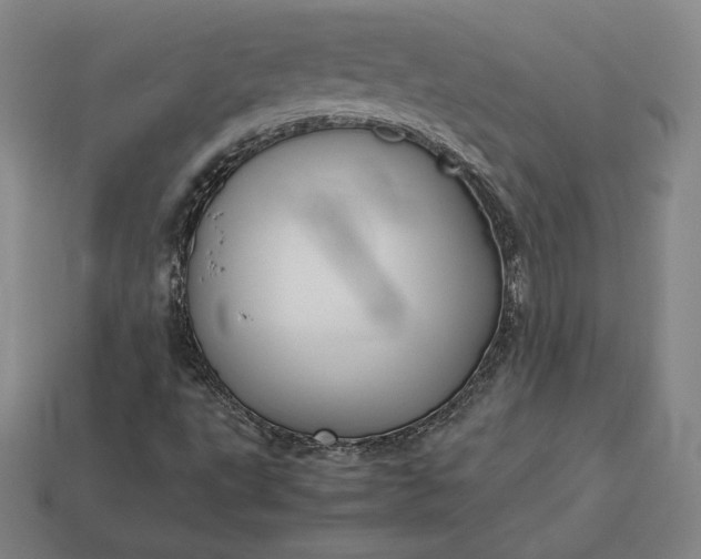 X0000113151495200909181739