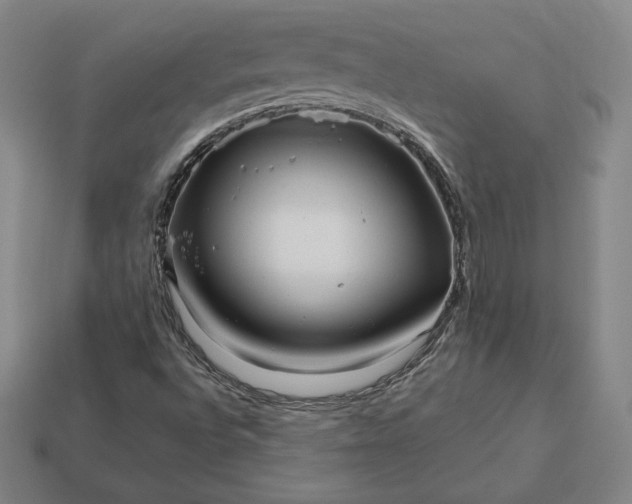 X0000113151496200909181739