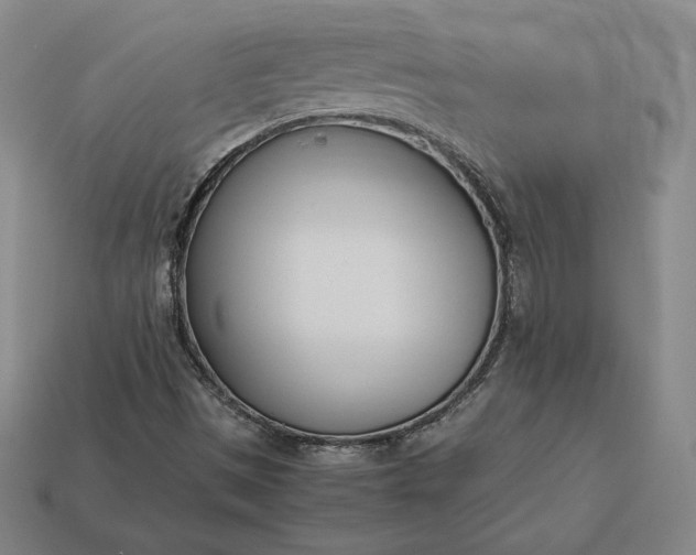 X0000113151497200909181739