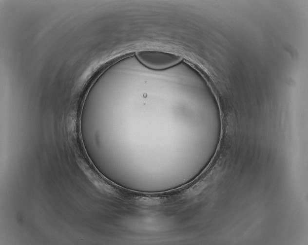 X0000113151499200909181739