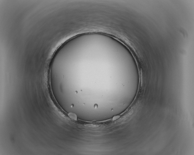 X0000113151500200909181739