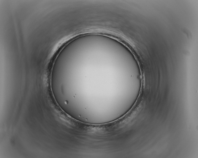 X0000113151501200909181739