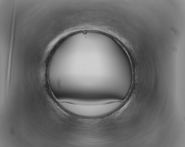 X0000113151502200909181740