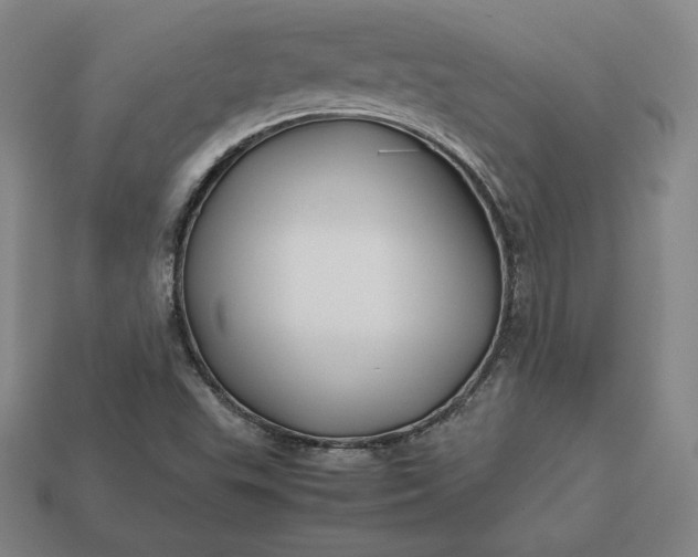 X0000113151503200909181740