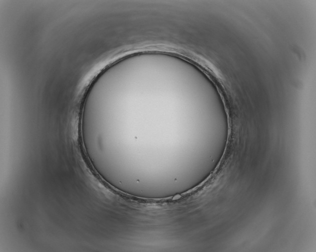 X0000113151504200909181740