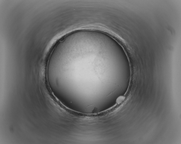 X0000113151506200909181740