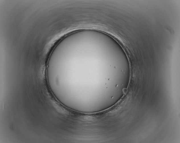 X0000113151507200909181740