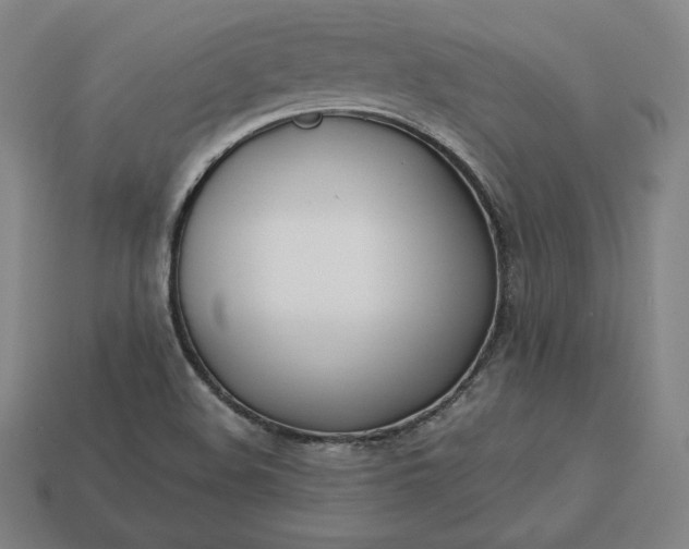 X0000113151508200909181740